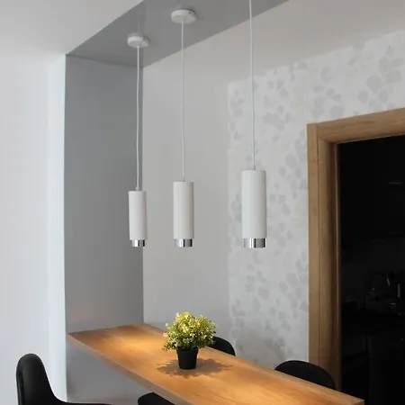 Apartment Luxury Parking In Garage Nis